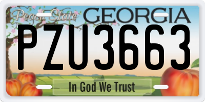 GA license plate PZU3663