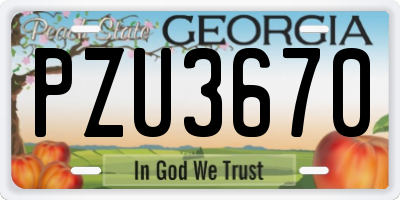 GA license plate PZU3670