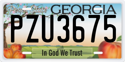 GA license plate PZU3675