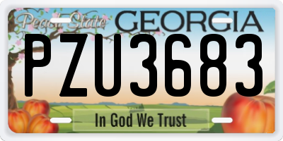 GA license plate PZU3683