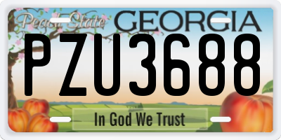 GA license plate PZU3688