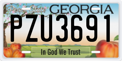 GA license plate PZU3691