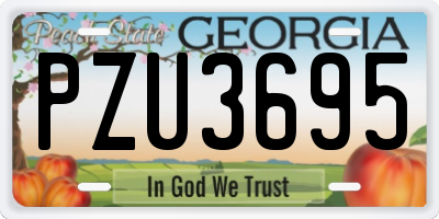 GA license plate PZU3695