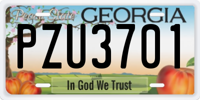 GA license plate PZU3701