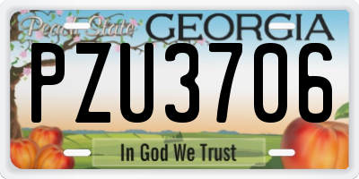 GA license plate PZU3706