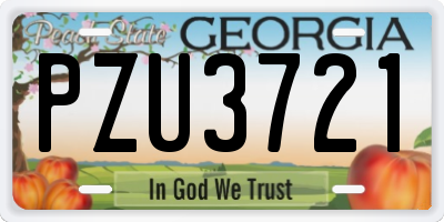 GA license plate PZU3721