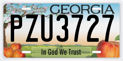 GA license plate PZU3727