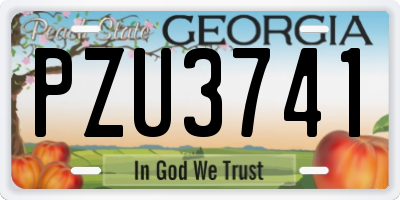 GA license plate PZU3741