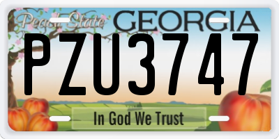GA license plate PZU3747