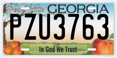 GA license plate PZU3763