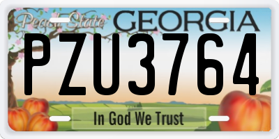 GA license plate PZU3764
