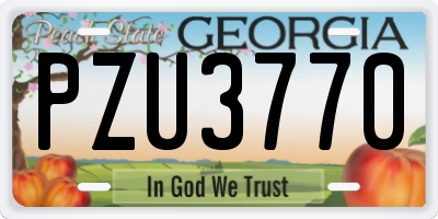 GA license plate PZU3770