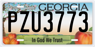 GA license plate PZU3773