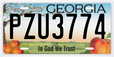 GA license plate PZU3774