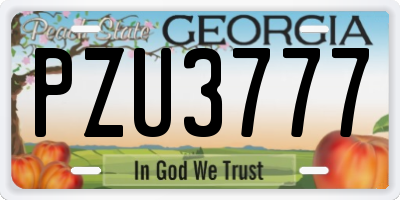 GA license plate PZU3777