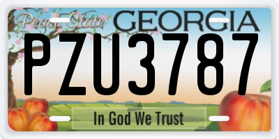 GA license plate PZU3787