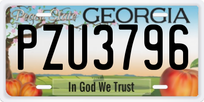 GA license plate PZU3796
