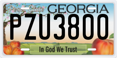 GA license plate PZU3800