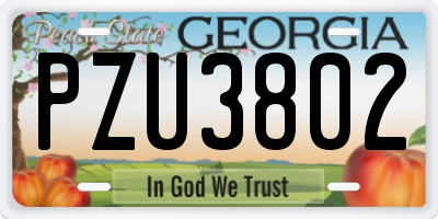 GA license plate PZU3802