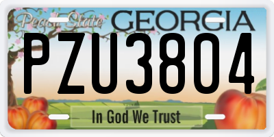 GA license plate PZU3804