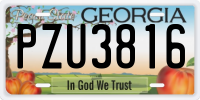 GA license plate PZU3816
