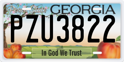 GA license plate PZU3822