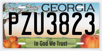 GA license plate PZU3823