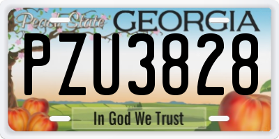 GA license plate PZU3828