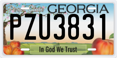 GA license plate PZU3831