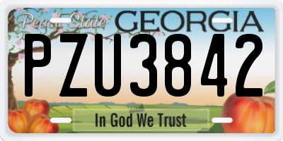 GA license plate PZU3842