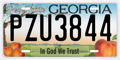 GA license plate PZU3844