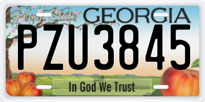GA license plate PZU3845