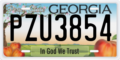 GA license plate PZU3854