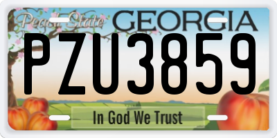 GA license plate PZU3859