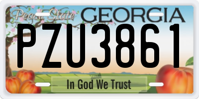 GA license plate PZU3861