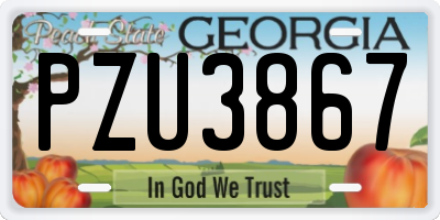GA license plate PZU3867