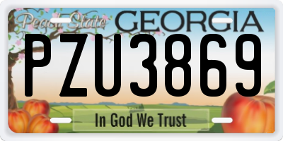 GA license plate PZU3869