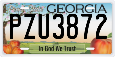 GA license plate PZU3872