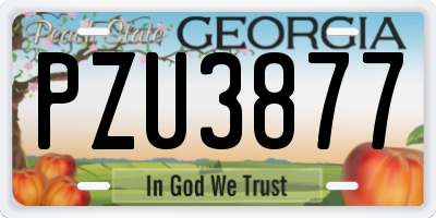 GA license plate PZU3877
