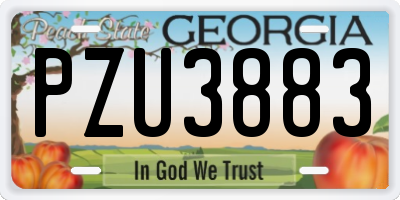 GA license plate PZU3883