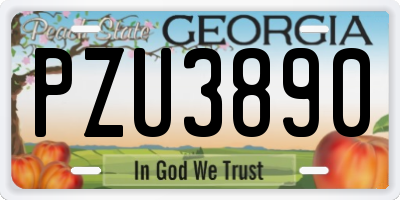 GA license plate PZU3890