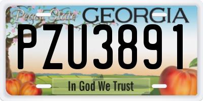 GA license plate PZU3891