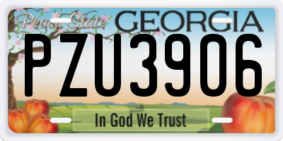 GA license plate PZU3906