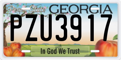 GA license plate PZU3917