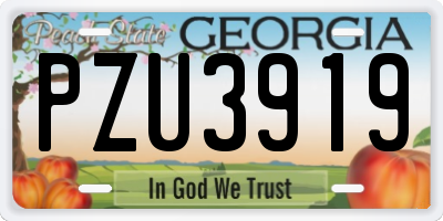 GA license plate PZU3919
