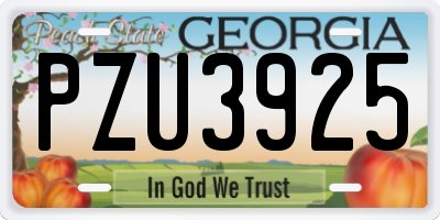 GA license plate PZU3925
