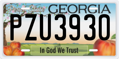 GA license plate PZU3930