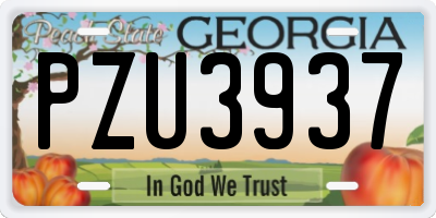 GA license plate PZU3937