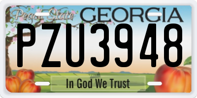 GA license plate PZU3948