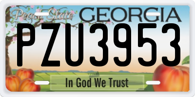 GA license plate PZU3953
